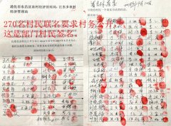 吉林通化:众村民实名举报村官横行乡里,纪委称已经处理