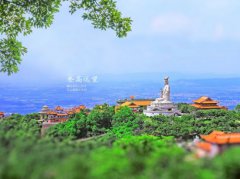 一封来自广东东莞知名企业董事长的举报信(上)