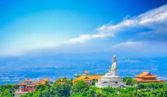 被蹂躏的国家森林公园,东莞营商窘境何时破解?