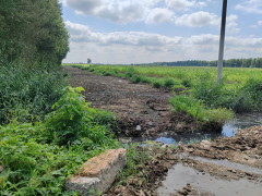 吉林梨树:吉牛牧业污水横流