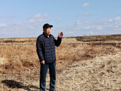 <b>黑龙江桦南:荒地变沃土后开荒成果竟然遭抢夺?</b>