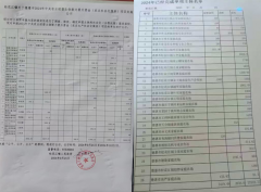 德惠市村民实名举报村干部及农机户涉嫌多项违规行为