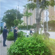 国法岂能沦为空谈？举报反遭报复，谁来为我们主持公道？