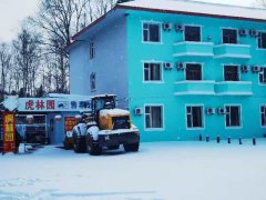 游客长白山观赏东北虎因何常吃“闭门羹”？