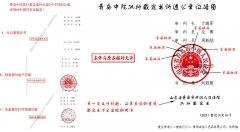 山东莱西一龙头民企深陷全链条执法乱象，实名